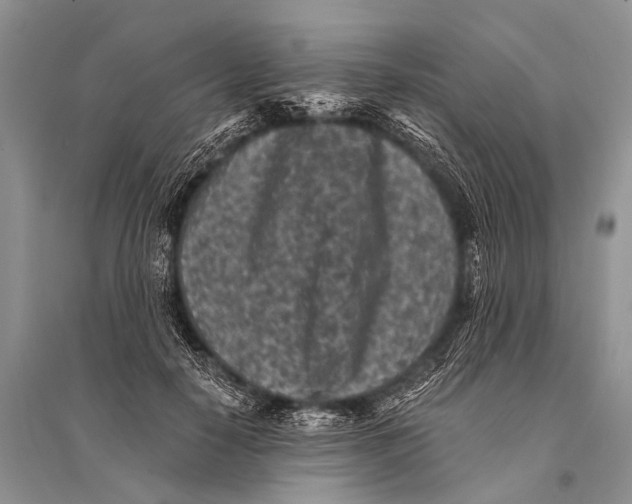 X0000094910650200712201158