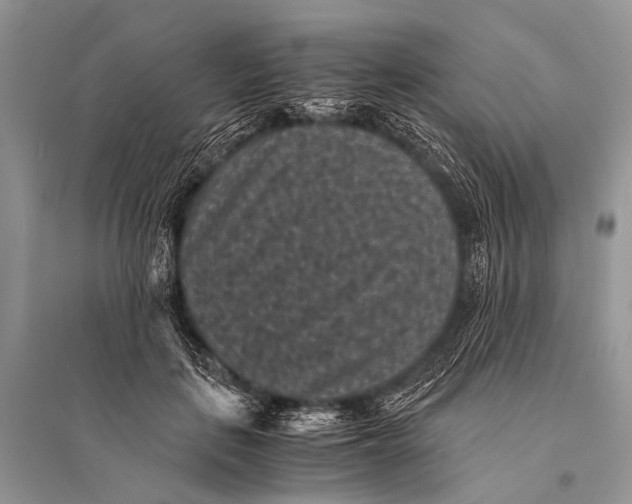 X0000094910651200712201158