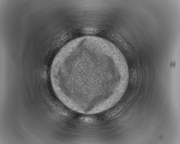 X0000094910655200712201158