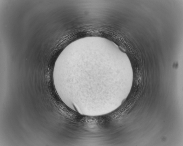 X0000094910658200712201158