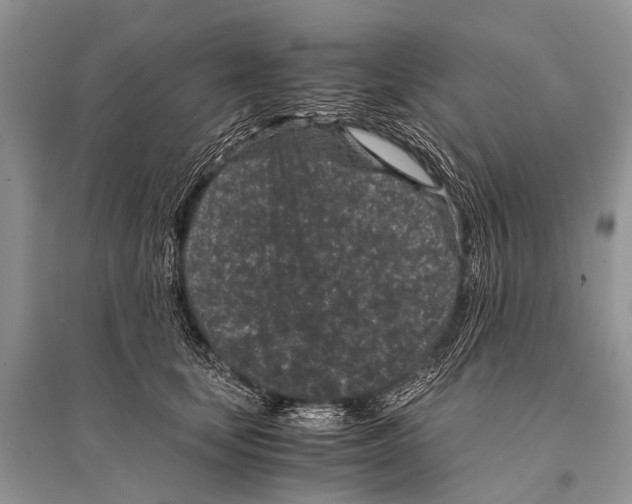 X0000094910659200712201158