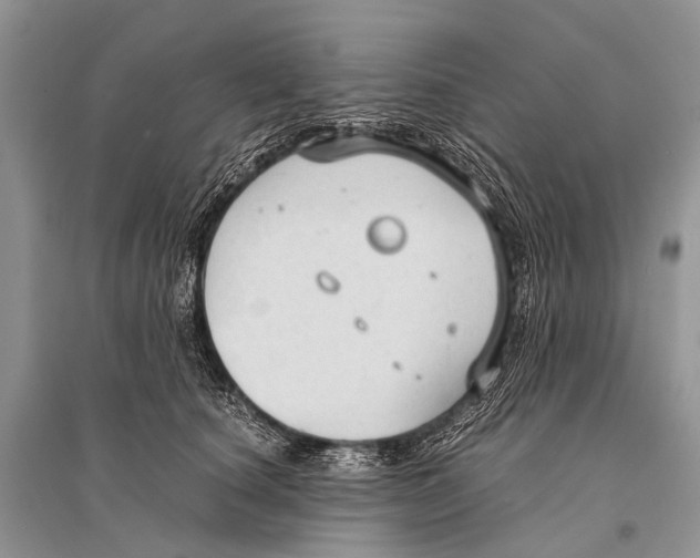 X0000094910660200712201158