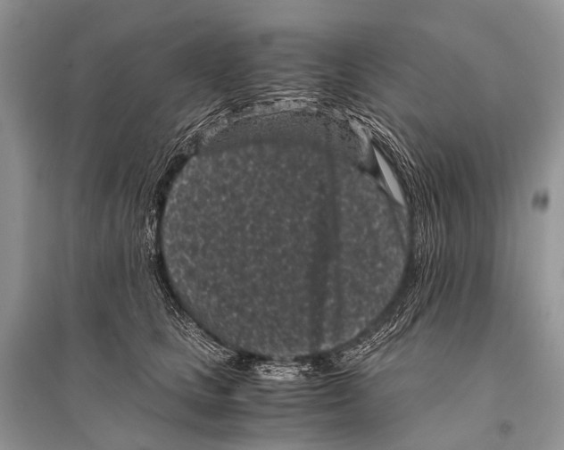 X0000094910661200712201158