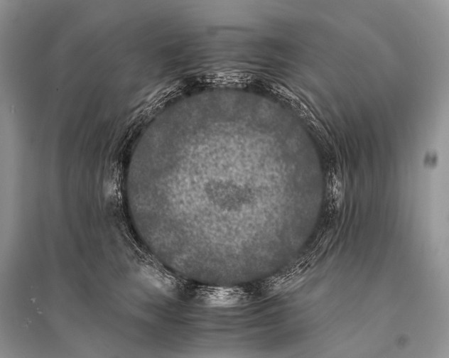 X0000094910663200712201158