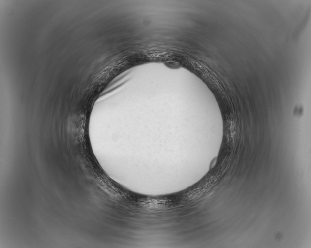 X0000094910664200712201158