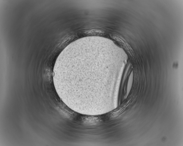 X0000094910669200712201159