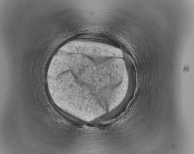 X0000094910673200712201158