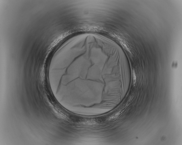 X0000094910674200712201158