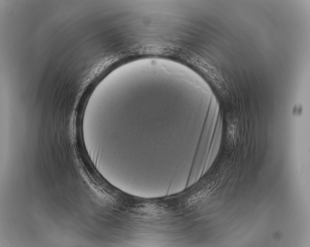 X0000094910678200712201158