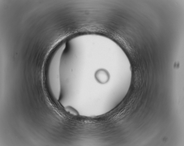 X0000094910680200712201158