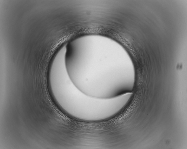 X0000094910681200712201158