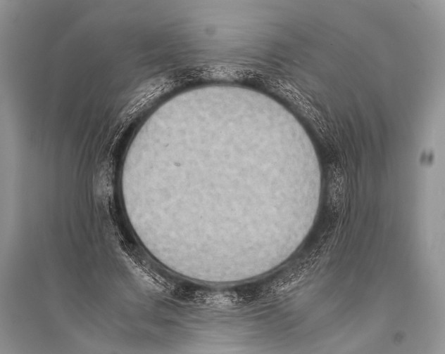 X0000094910683200712201158