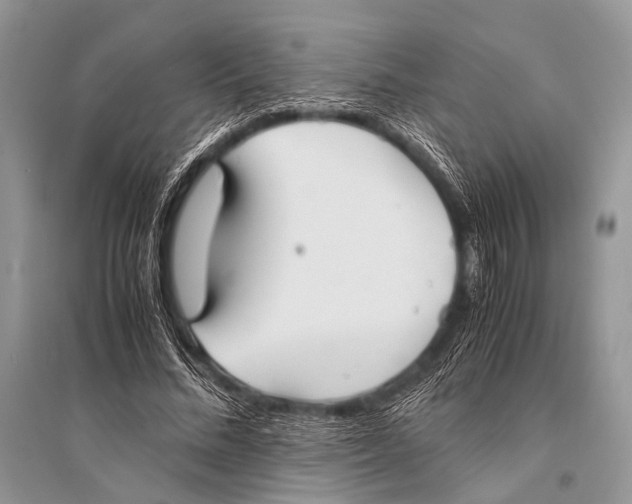 X0000094910684200712201158