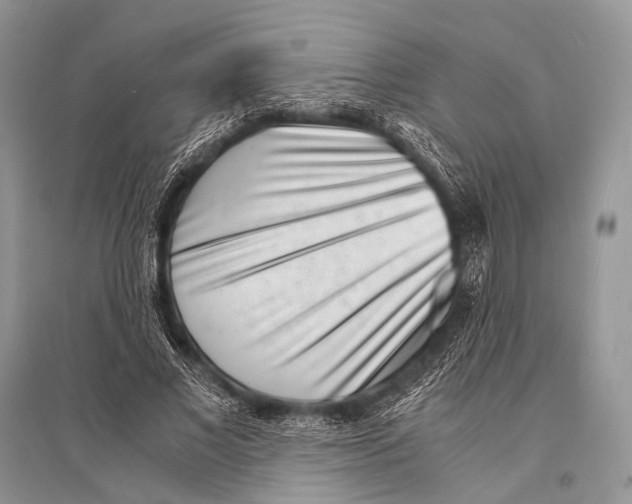 X0000094910685200712201158