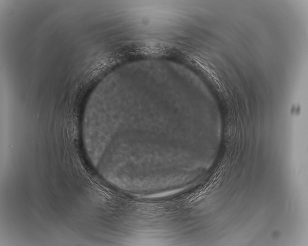 X0000094910689200712201158