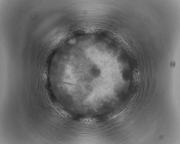 X0000094910691200712201158