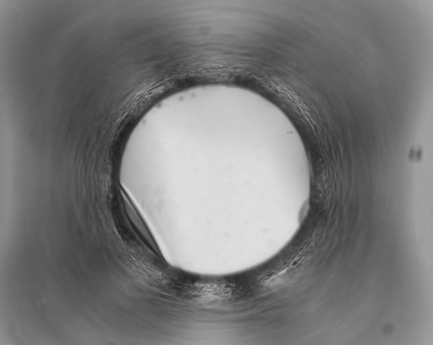 X0000094910693200712201157