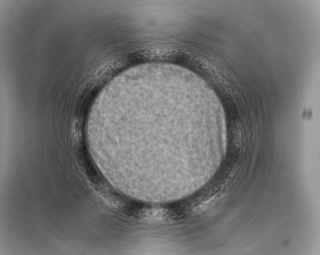 X0000094910695200712201157