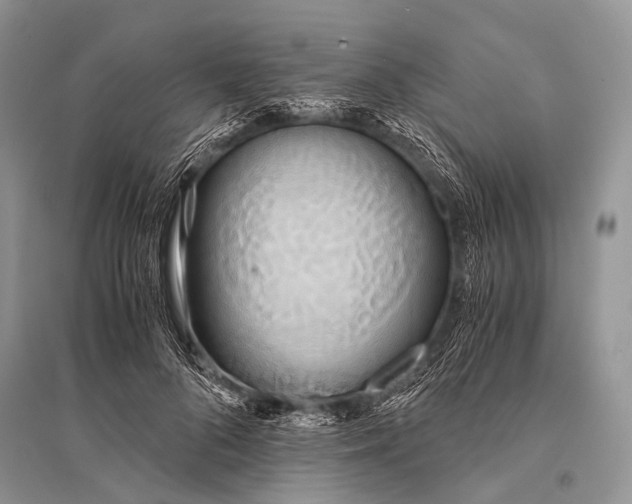 X0000094910696200712201157