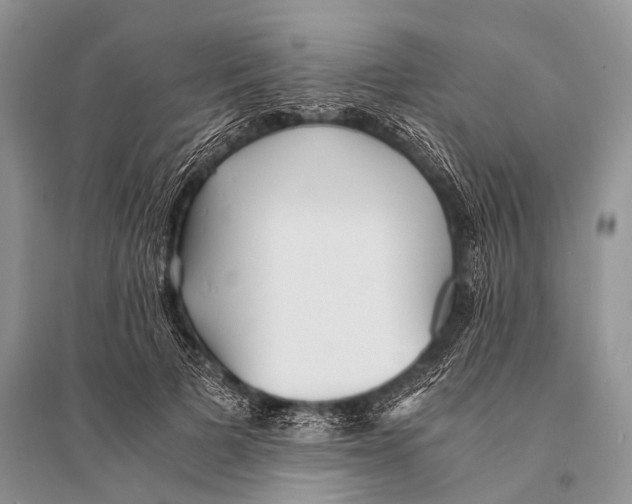 X0000094910697200712201157