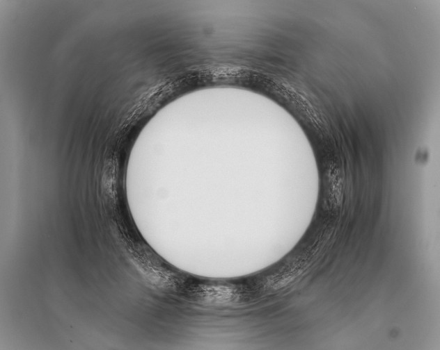 X0000094910698200712201157