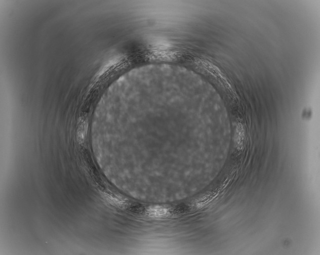 X0000094910701200712201157
