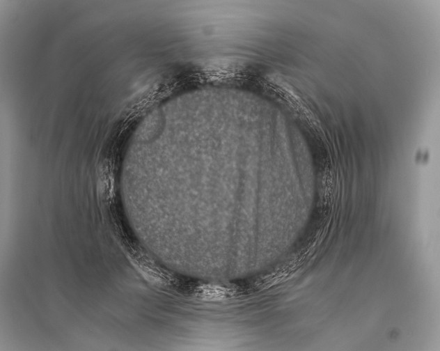 X0000094910703200712201157
