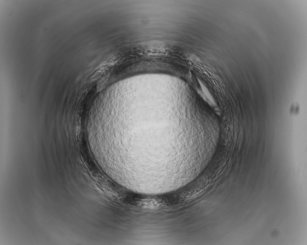 X0000094910704200712201157