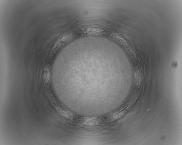 X0000094910705200712201157