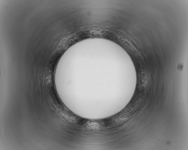 X0000094910706200712201157