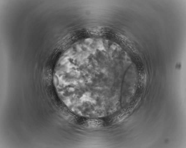 X0000094910707200712201157