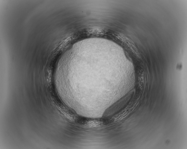 X0000094910708200712201157