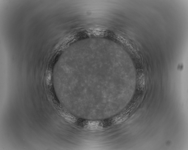 X0000094910709200712201157