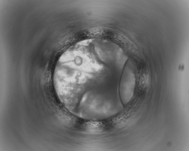 X0000094910711200712201157