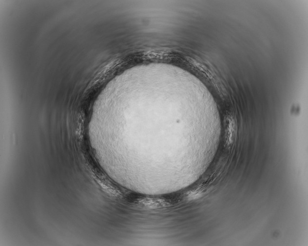 X0000094910712200712201157