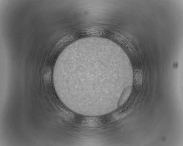 X0000094910713200712201157