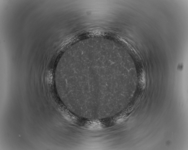 X0000094910715200712201157