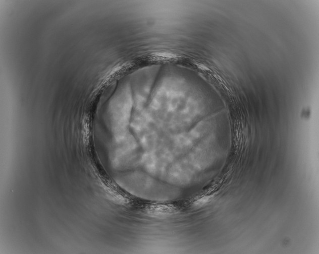 X0000094910716200712201157