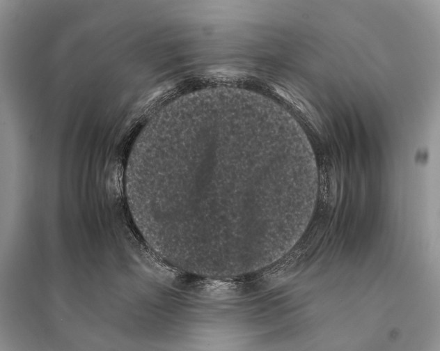X0000094910718200712201157