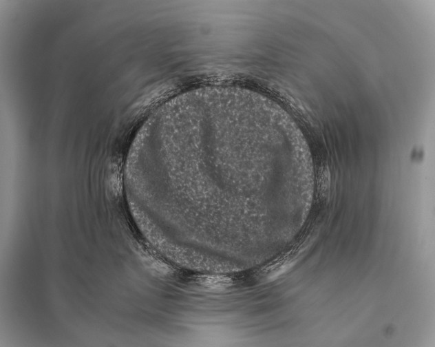 X0000094910719200712201157