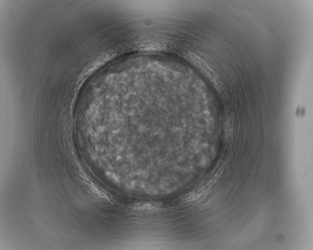 X0000094910721200712201156