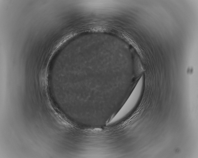 X0000094910722200712201156