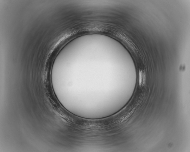 X0000094910723200712201156