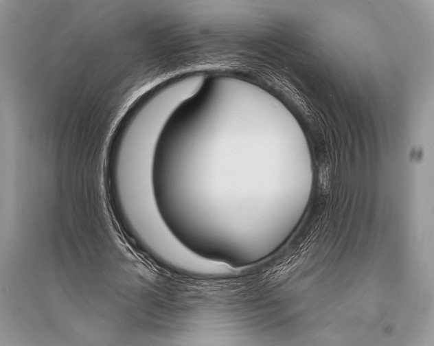X0000094910724200712201156