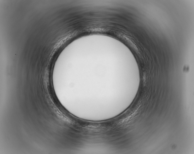 X0000094910725200712201157