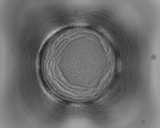 X0000094910726200712201157
