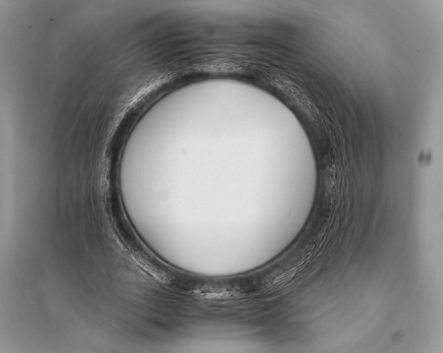 X0000094910727200712201157