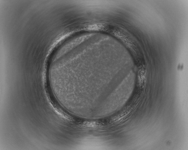 X0000094910728200712201157