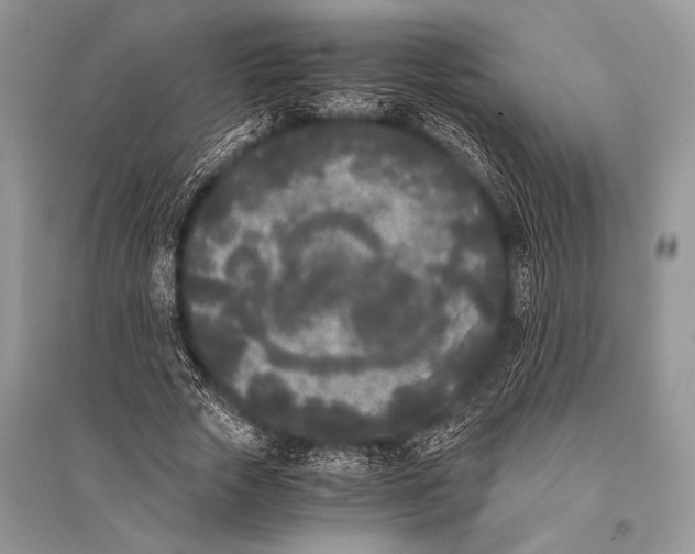 X0000094910729200712201157