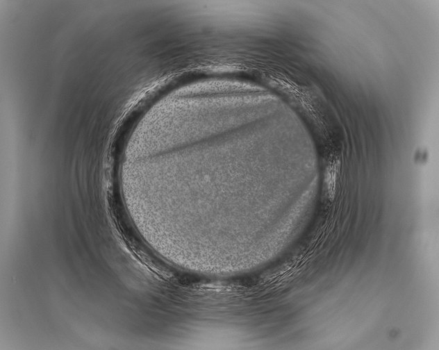 X0000094910732200712201157
